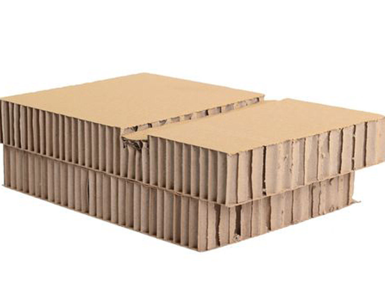 ����ֽ��