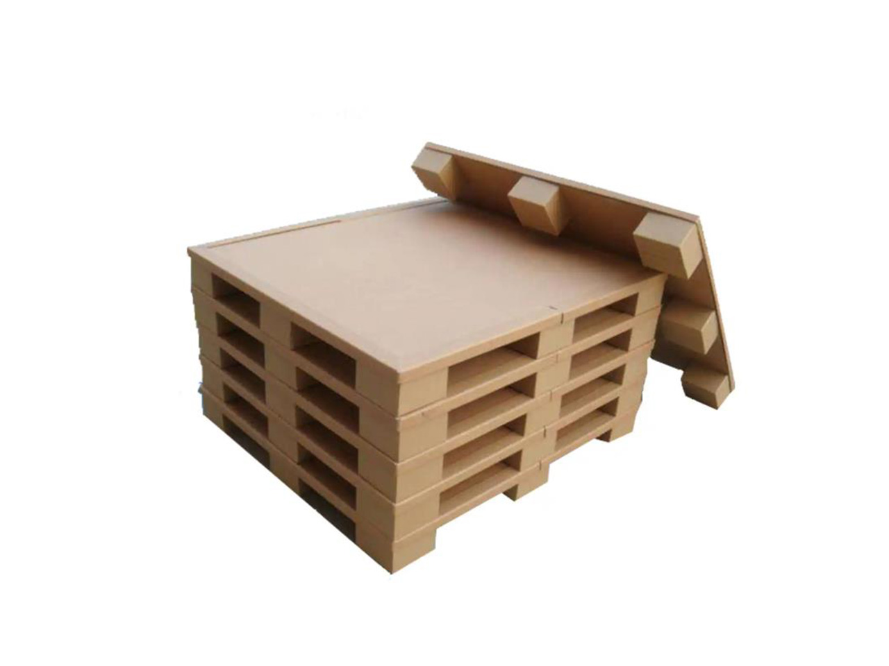 ����ֽ����